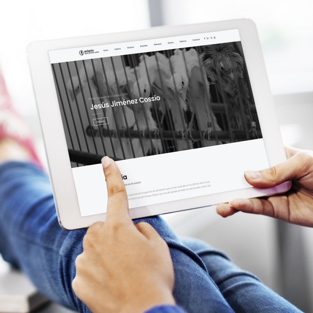 web giboso jesus jimenez cossio 3