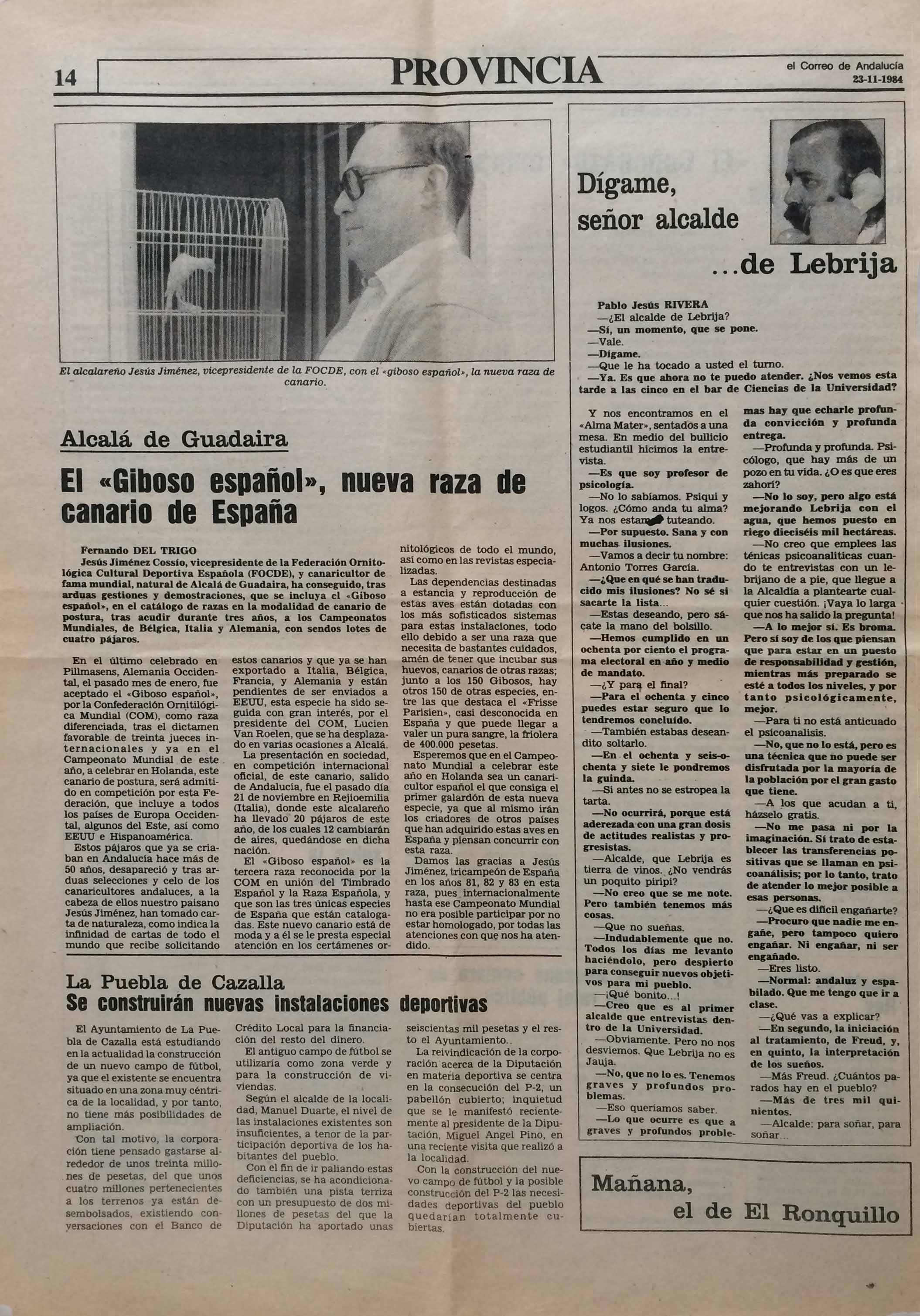 diario_correo_de_andalucia_giboso_cossio_84