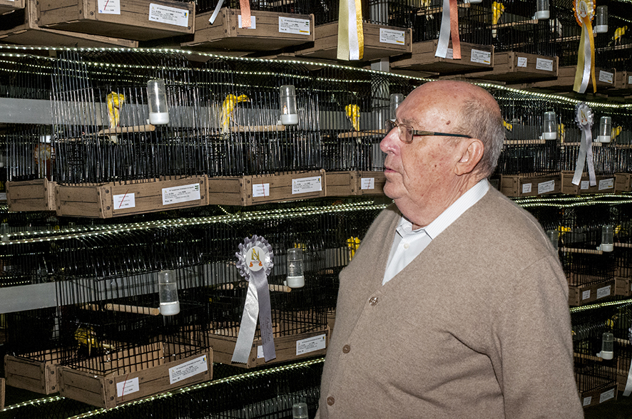 jesus_jimenez_cossio_giboso_español